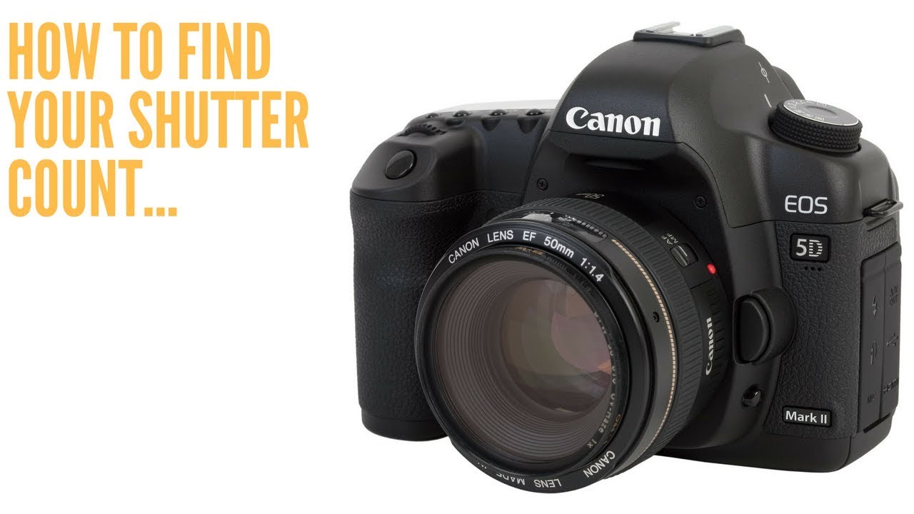How to find shutter count on canon for mac free